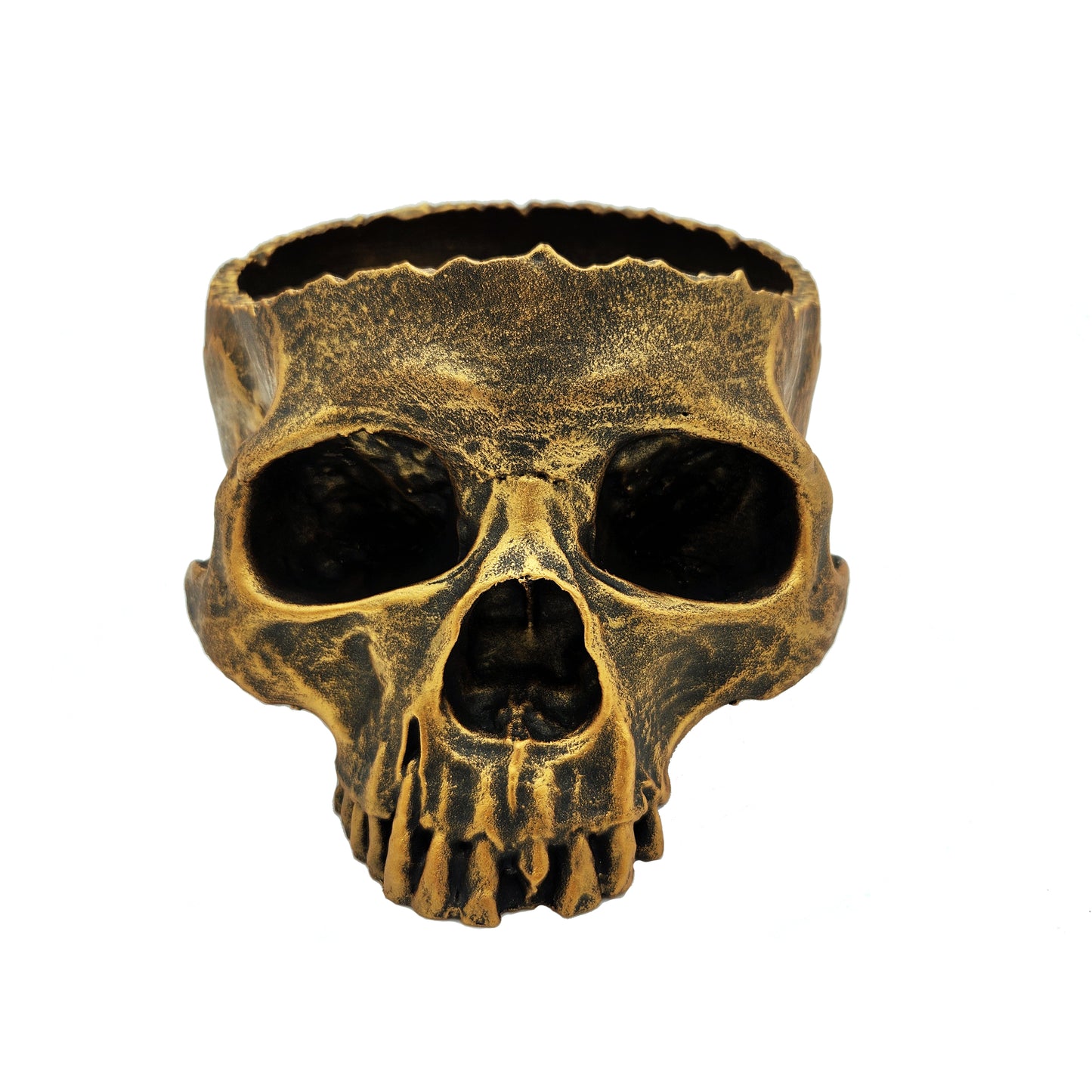 Skull Candy Bowl Handmade interior decor