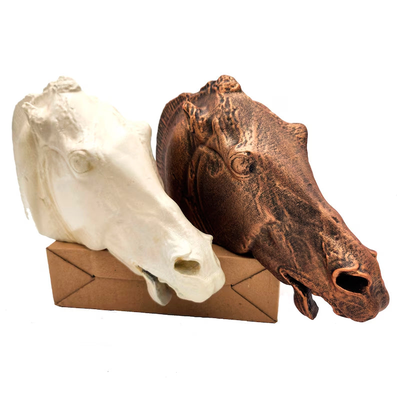 Head of a horse of Selene Statue white or bronze Handmade