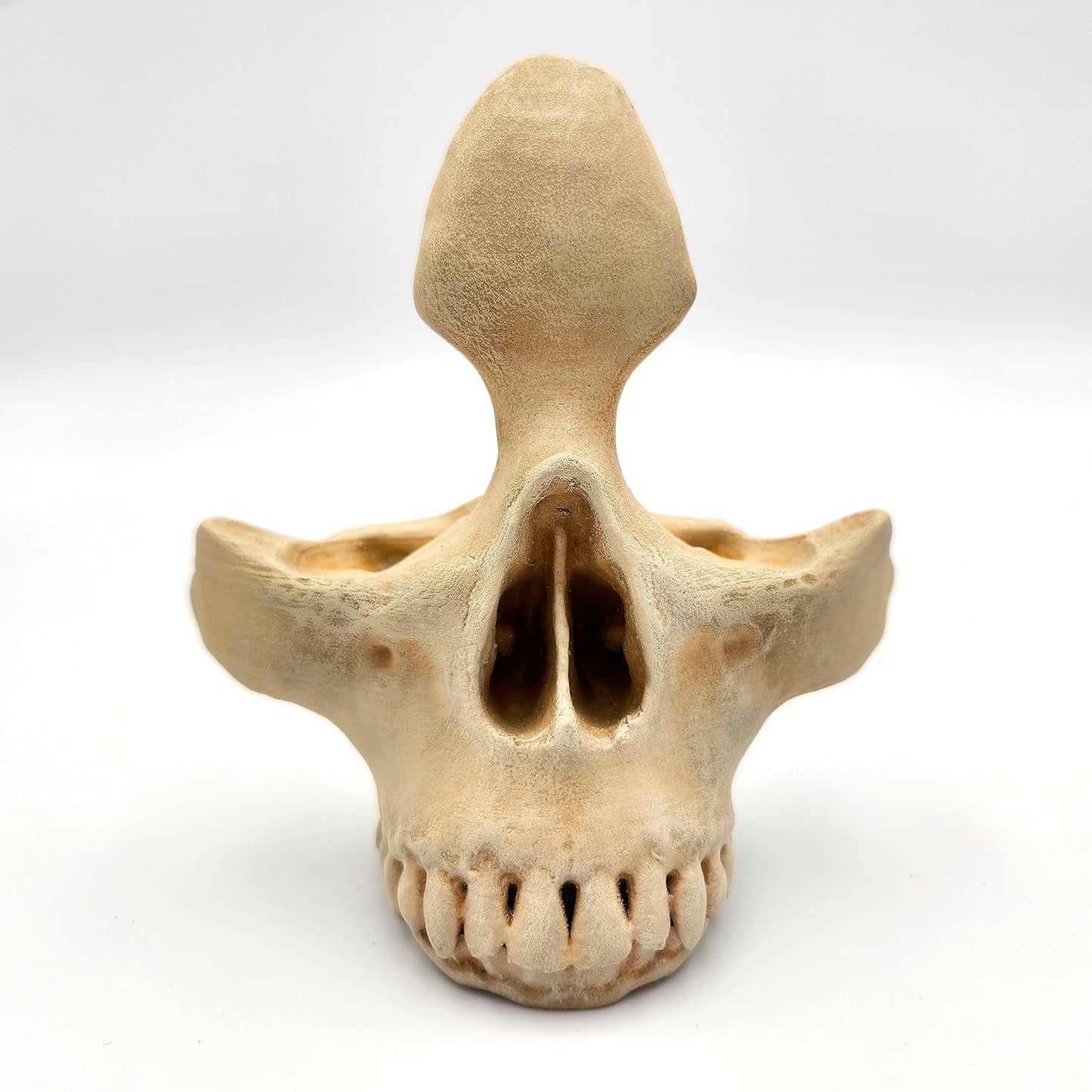 Gothic Skull Glasses Holder Handmade