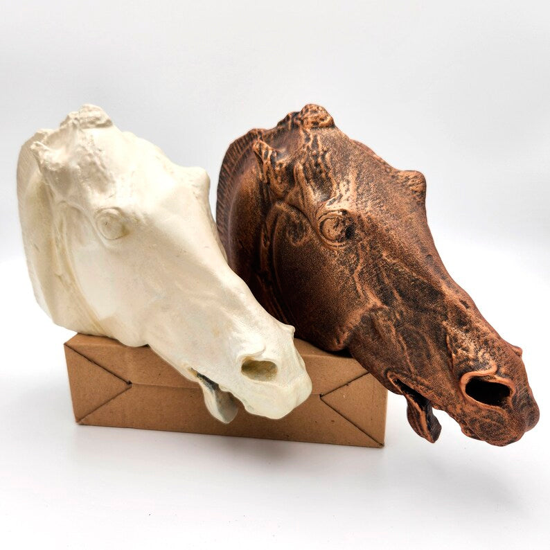 Head of a horse of Selene Statue white or bronze Handmade