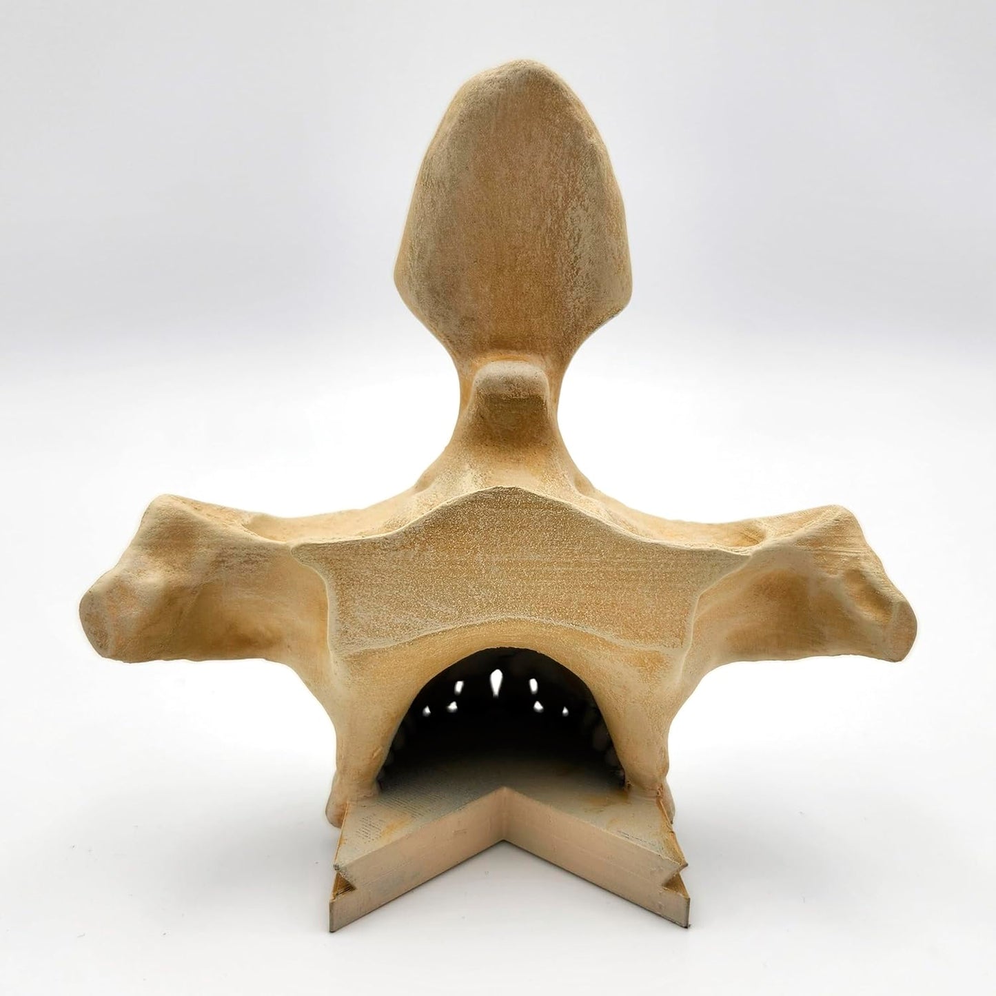 Gothic Skull Glasses Holder Handmade